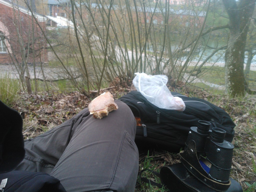 Kuva puiston väijymispaikasta ja väijymisvarusteista, kuten voileivästä ja kiikareista. / A picture from a stalking place in the park, depicting stalking equipment such as the sandwich and binoculars.